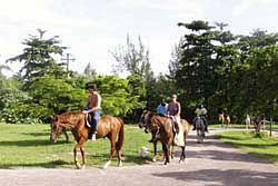 Horseback Riding